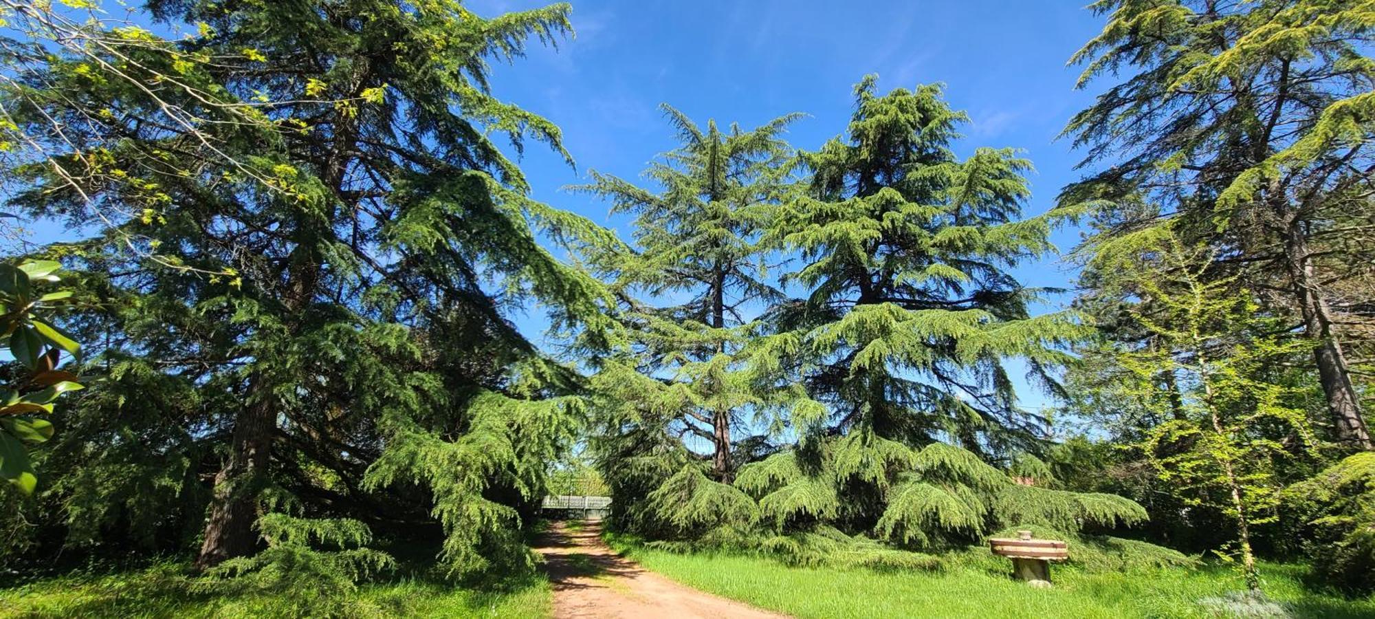 לינה וארוחת בוקר וילנב-סור-לו Le Manoir Du Moulin De Madame מראה חיצוני תמונה