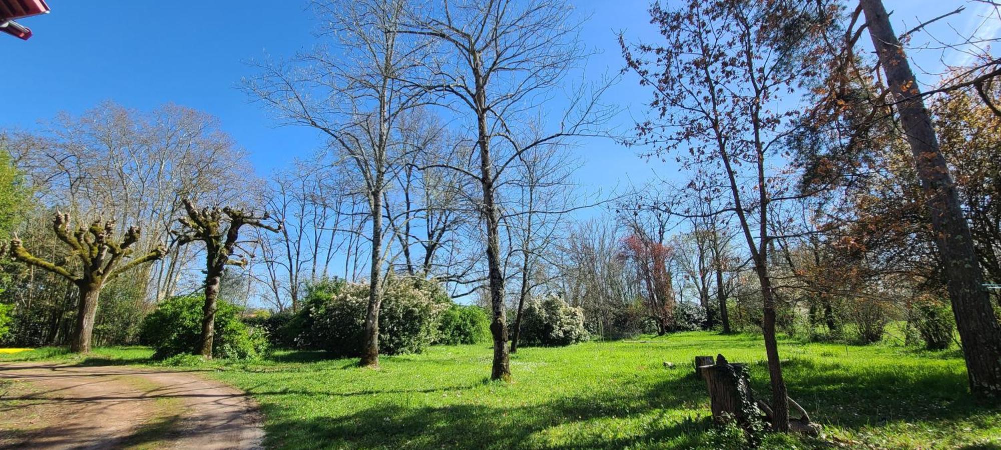 לינה וארוחת בוקר וילנב-סור-לו Le Manoir Du Moulin De Madame מראה חיצוני תמונה